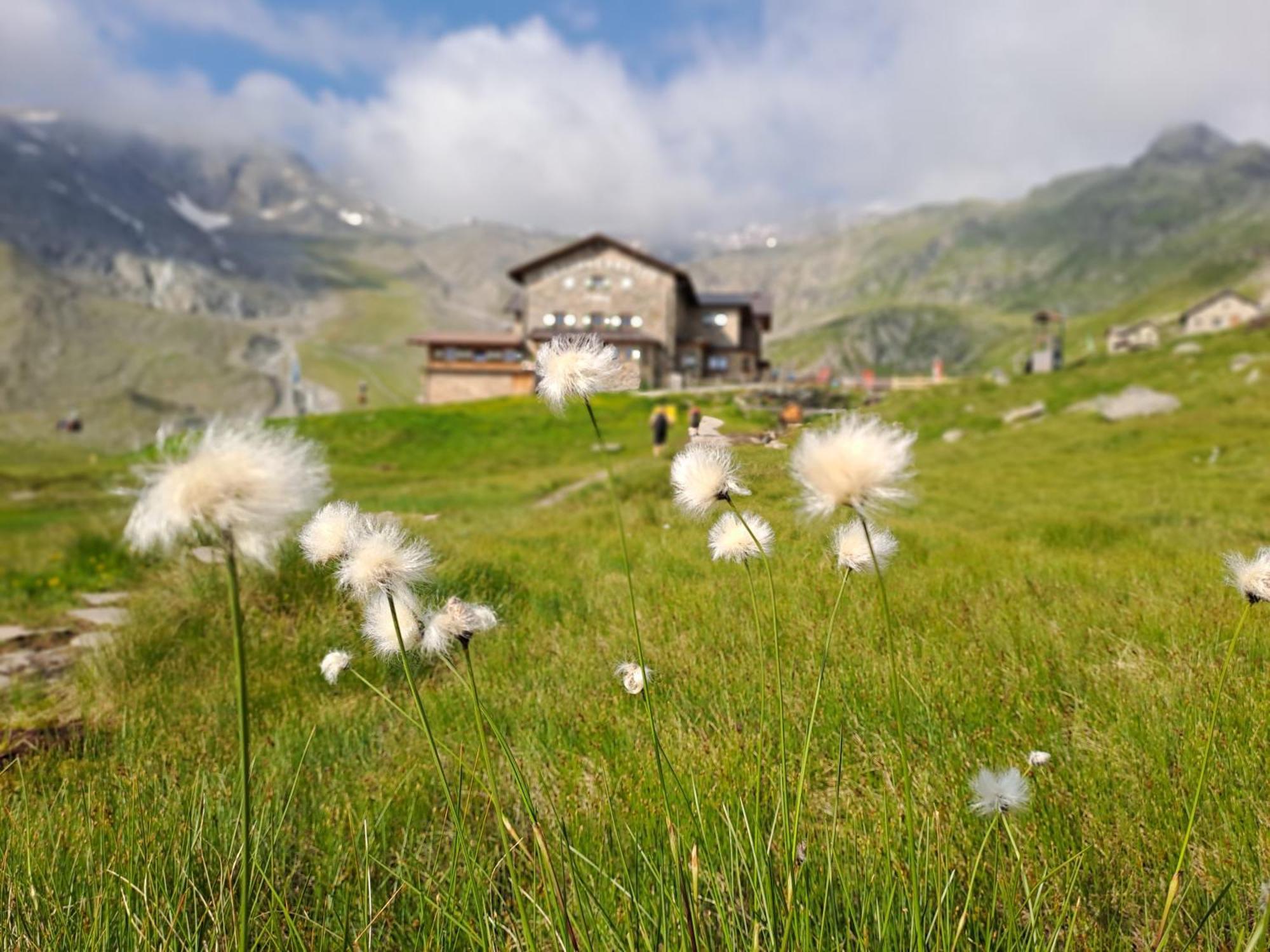 Ferienwohnung Jakob-Adults Only Neustift im Stubaital Exterior photo